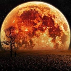 Meet your Posher, Patti